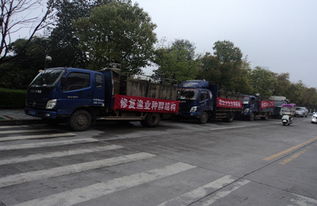 渔业增殖促生态，畜牧水产谱新篇——江西修水县开展资源放流活动助力产业发展