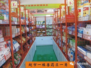 发酵床生态养牛全链条技术赋能 广西助农公司一站式解决方案