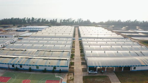 年销售额达1.2亿元，海威科技以创新引擎驱动水产种业振兴